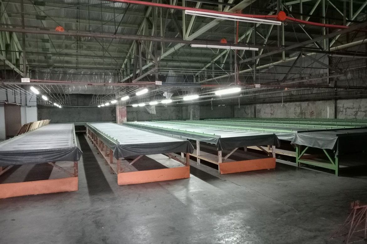 Warehouse / Factory for Rent in Manggahan, Pasig, Metro Manila photo 5