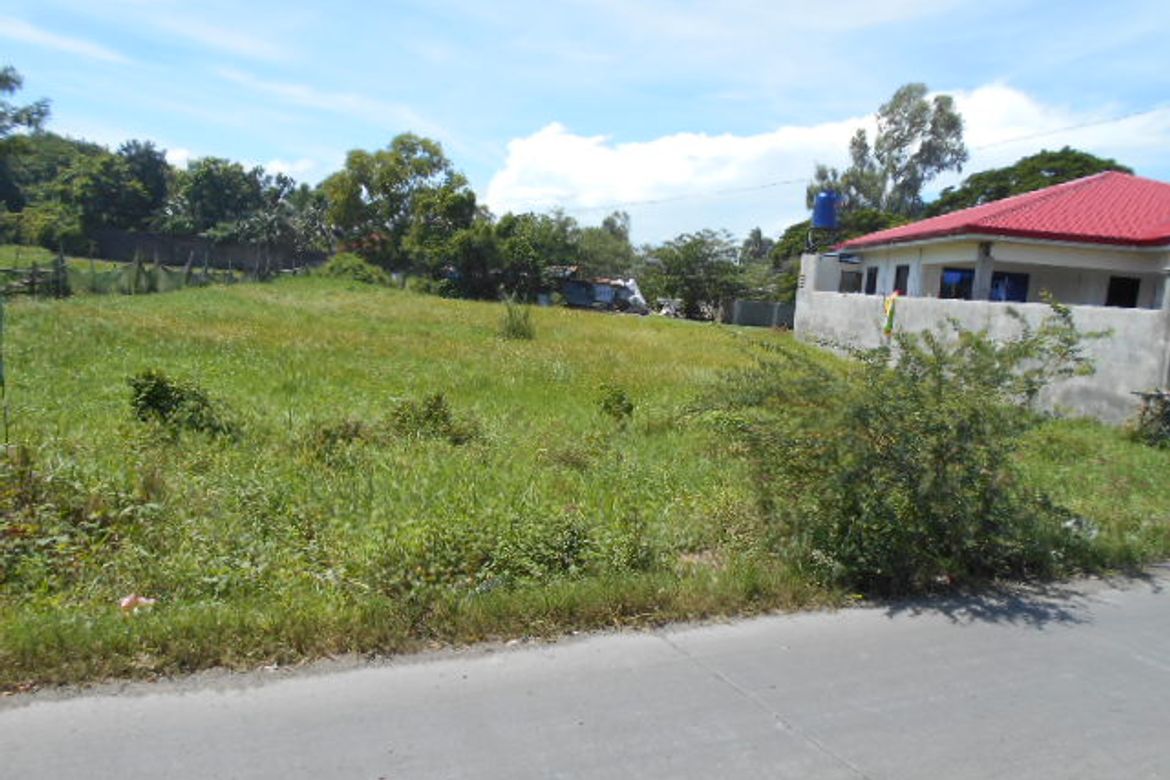 Warehouse / Factory for Sale in Buhang Taft North, Iloilo City, Iloilo – photo 2