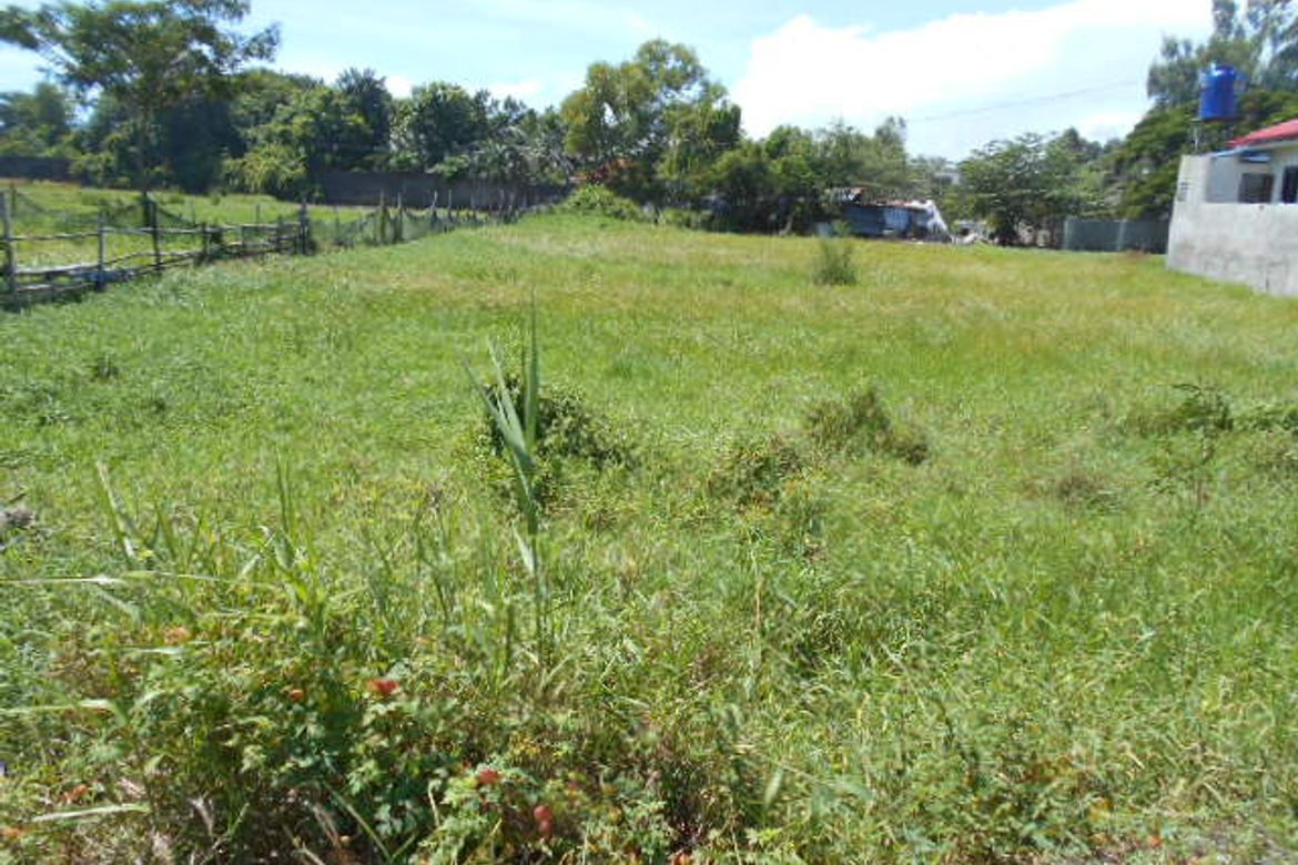Warehouse / Factory for Sale in Buhang Taft North, Iloilo City, Iloilo – photo 3