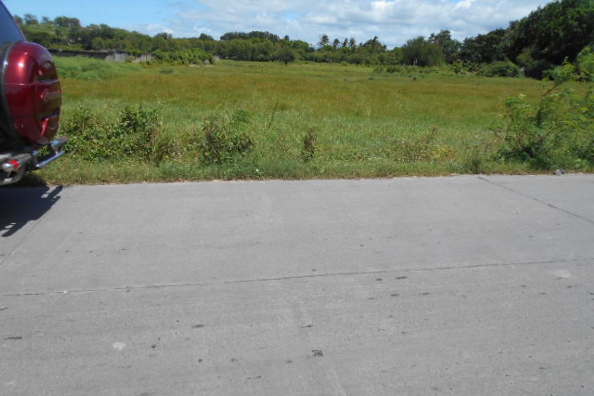 Warehouse / Factory for Sale in Buhang Taft North, Iloilo City, Iloilo – photo 4