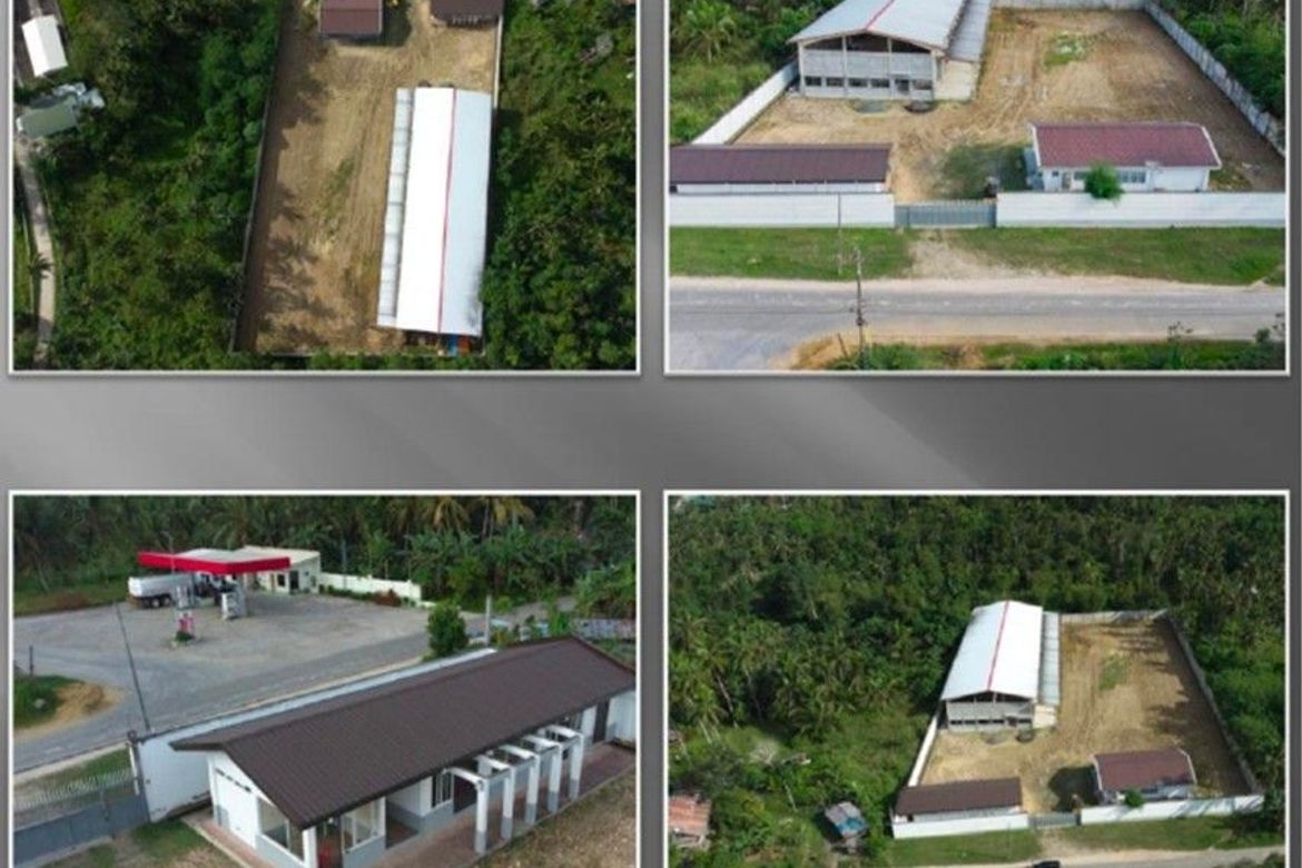 Warehouse / Factory for Sale in Canangca-An, Corella, Bohol – photo 3