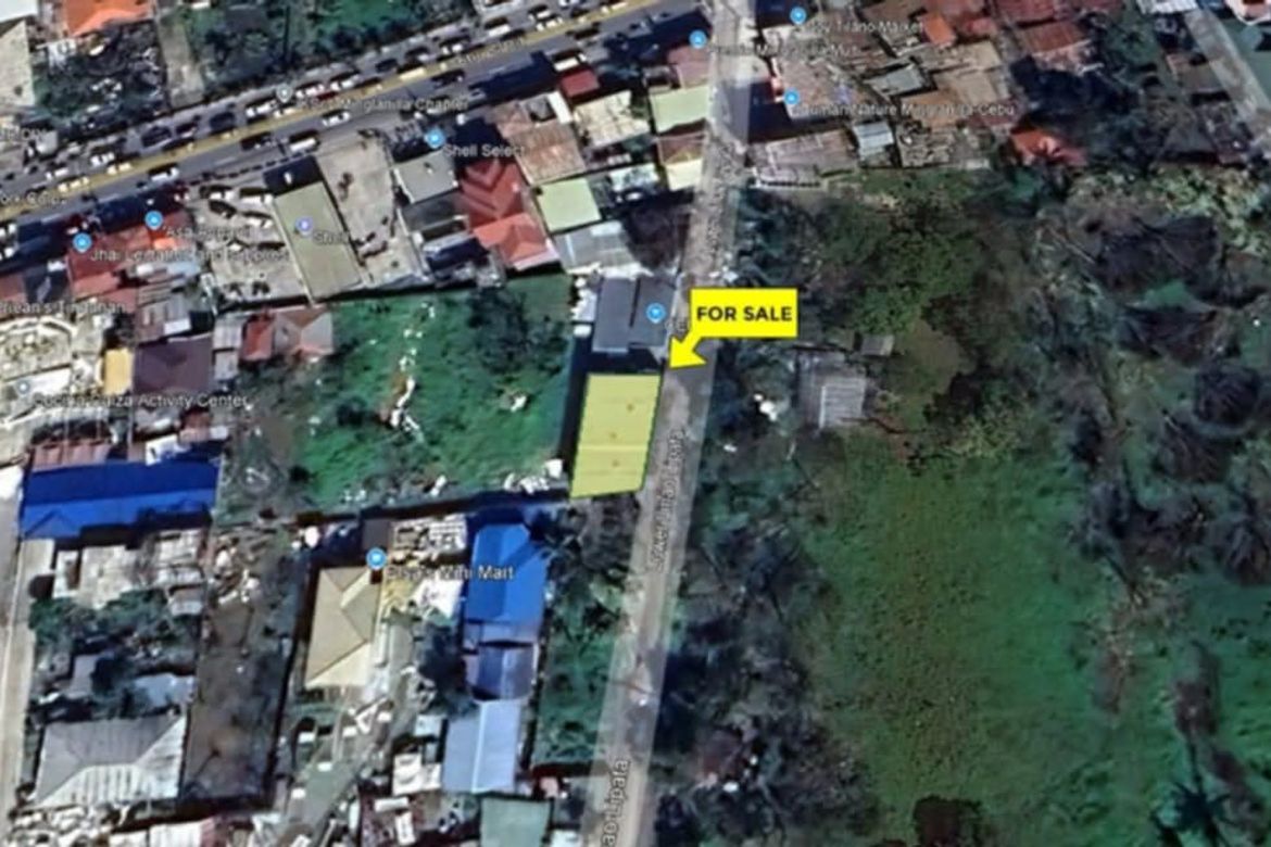 Warehouse / Factory for Sale in Linao, Minglanilla, Cebu – photo 5
