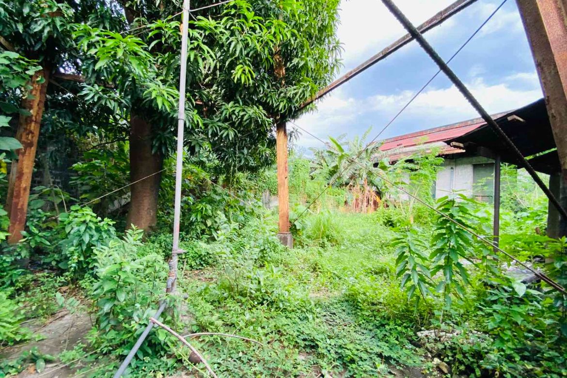 Warehouse / Factory for Sale in Mambugan, Antipolo, Rizal – photo 5
