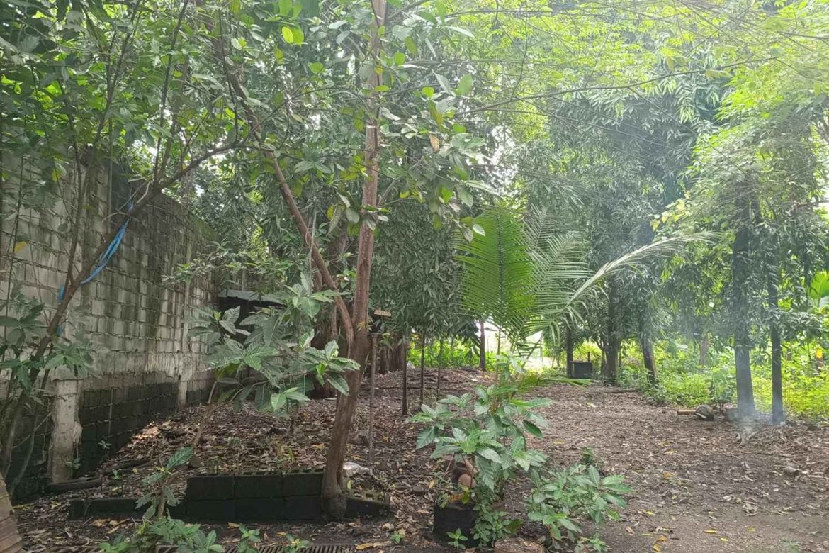 Warehouse / Factory for Sale in Maysan, Valenzuela, Metro Manila – photo 2