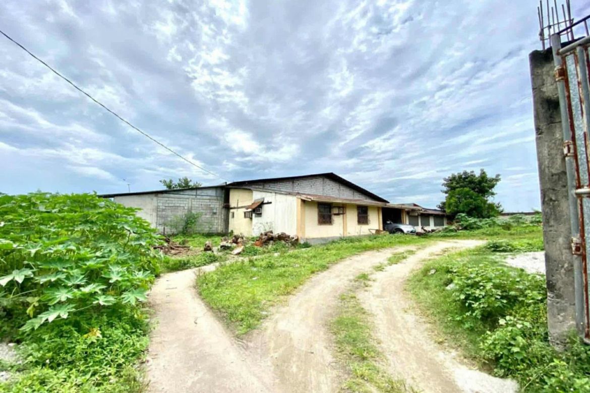 Warehouse / Factory for Sale in Plazang Luma, Arayat, Pampanga – photo 6