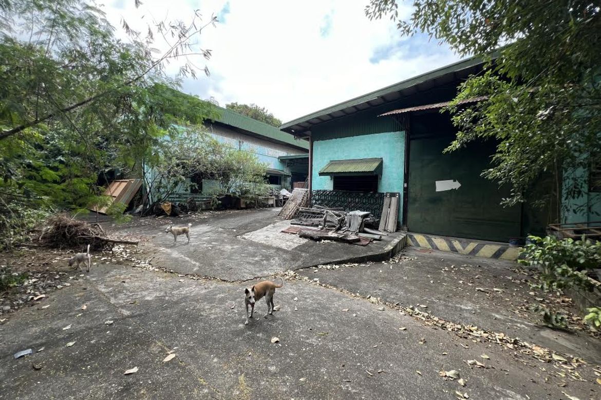 Warehouse / Factory for Sale in Talon Uno, Las Piñas, Metro Manila – photo 7
