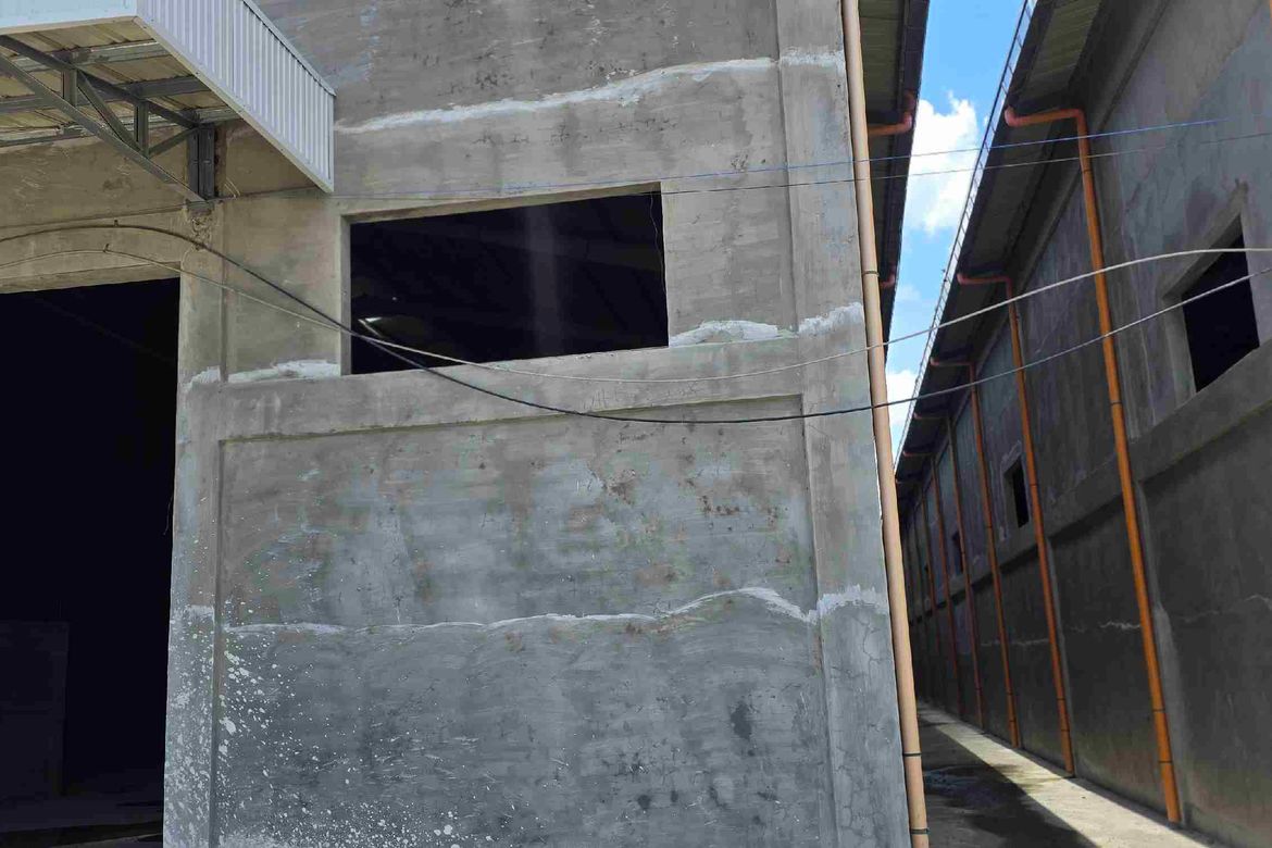 Warehouse / Factory for Sale in Tarcan, Baliuag, Bulacan – photo 5