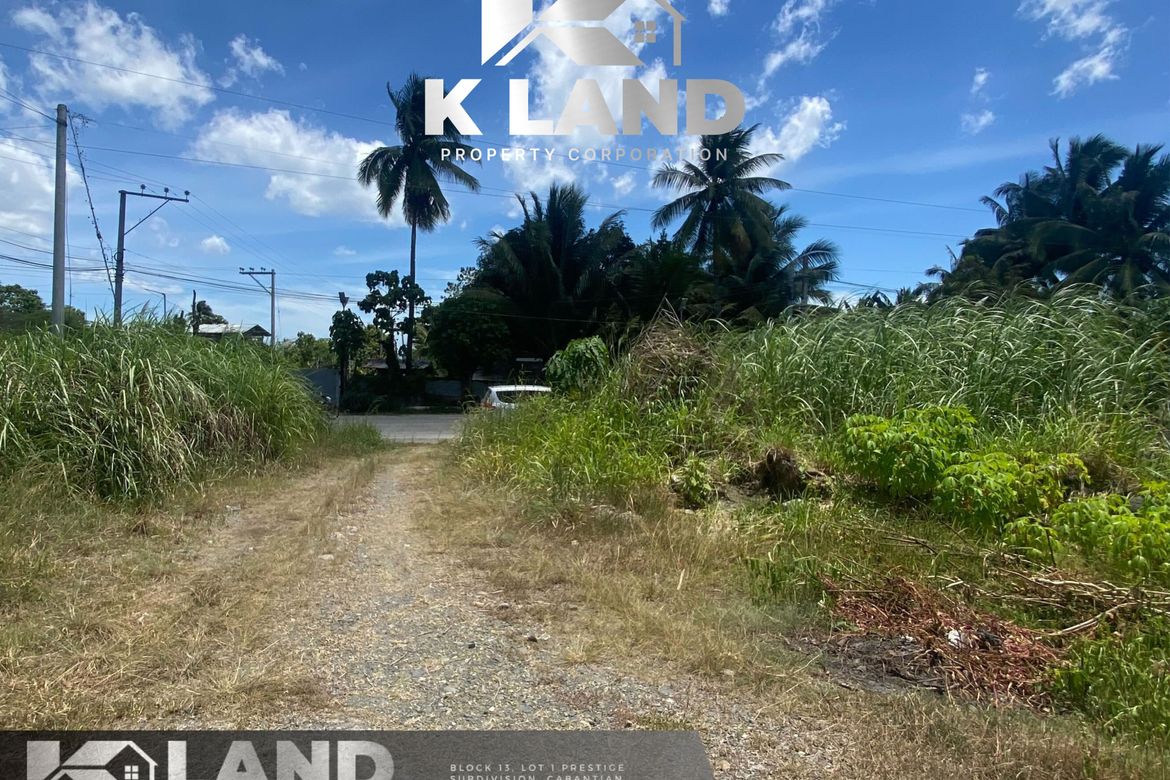 Warehouse / Factory for Sale in Tibungco, Davao City, Davao del Sur – photo 3